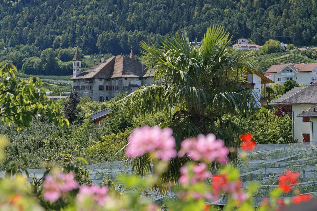 Felsenegg Hotel Nalles Phòng bức ảnh